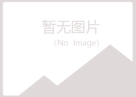 岐山县新波冶炼有限公司